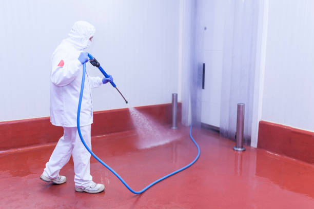 Best Brick and Stone Cleaning in Forsyth, MO